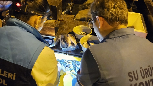 Trabzon'da su ürünleri denetimleri devam ediyor