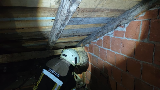 Karabük'te evin çatı katındaki yaban arısı yuvası itfaiye ekiplerince çıkarıldı