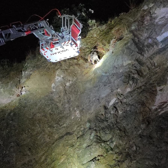 Bursa'da kayalıkta mahsur kalan köpek ekiplerce kurtarıldı