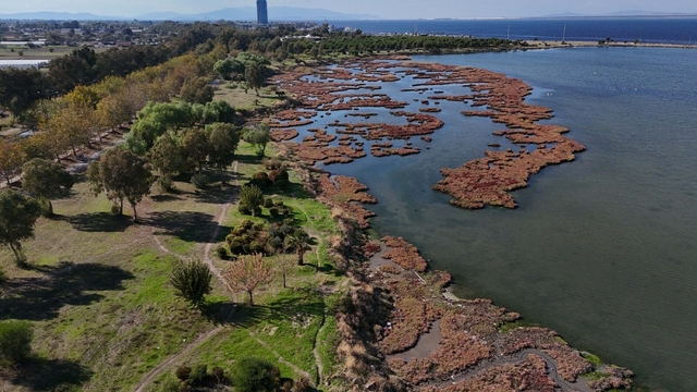 Çakalburnu Lagünü'nde sonbahar manzarası
