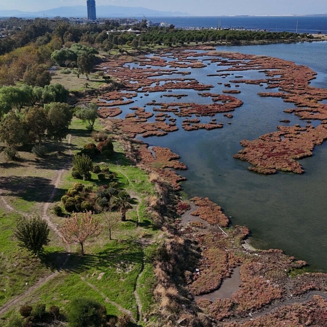 Çakalburnu Lagünü'nde sonbahar manzarası