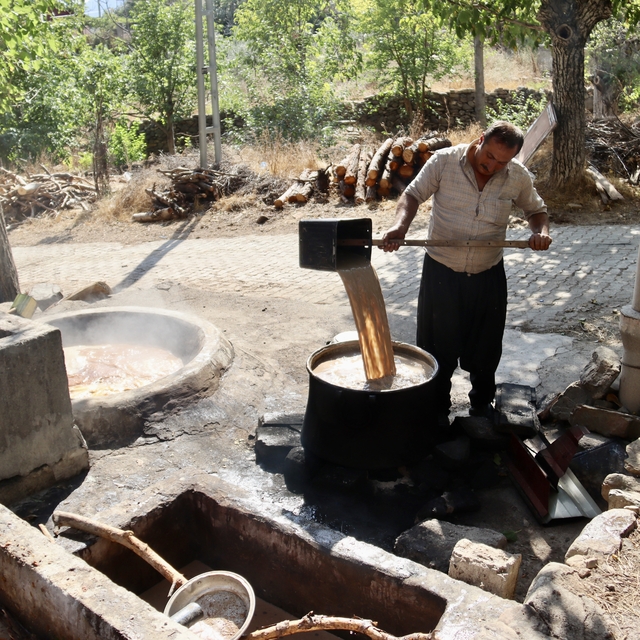 Osmaniye'de bağ bozumunun ardından pekmez yapımına başlandı