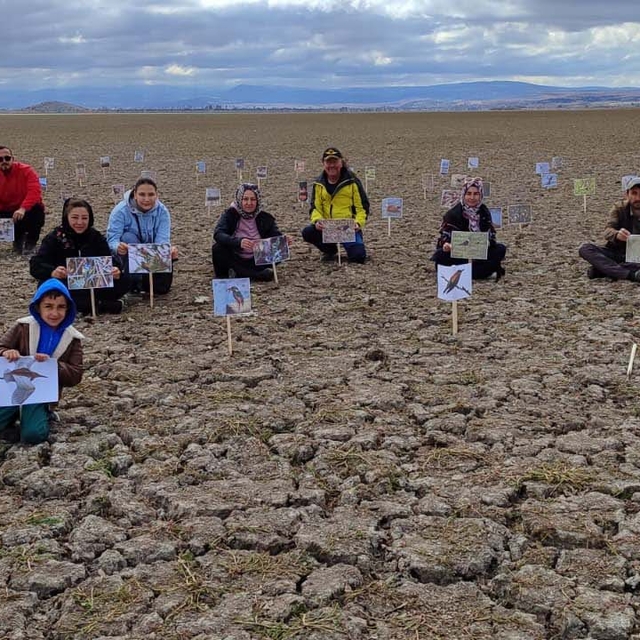 Kuruyan gölde, daha önce çekilen kuşların fotoğraflarıyla kuraklığa dikkat...