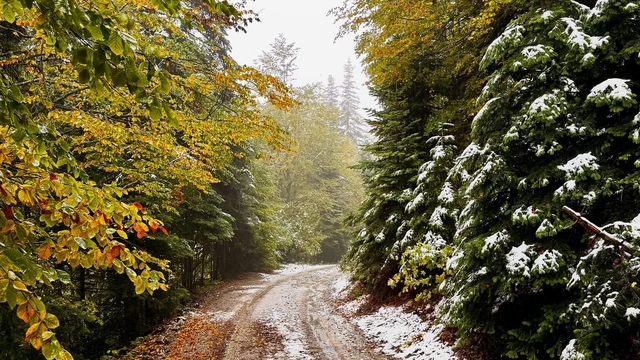 Bolu'nun yüksek kesimlerine kar yağdı