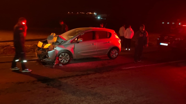 Siirt'te eşeğe çarpan otomobilin sürücüsü yaralandı