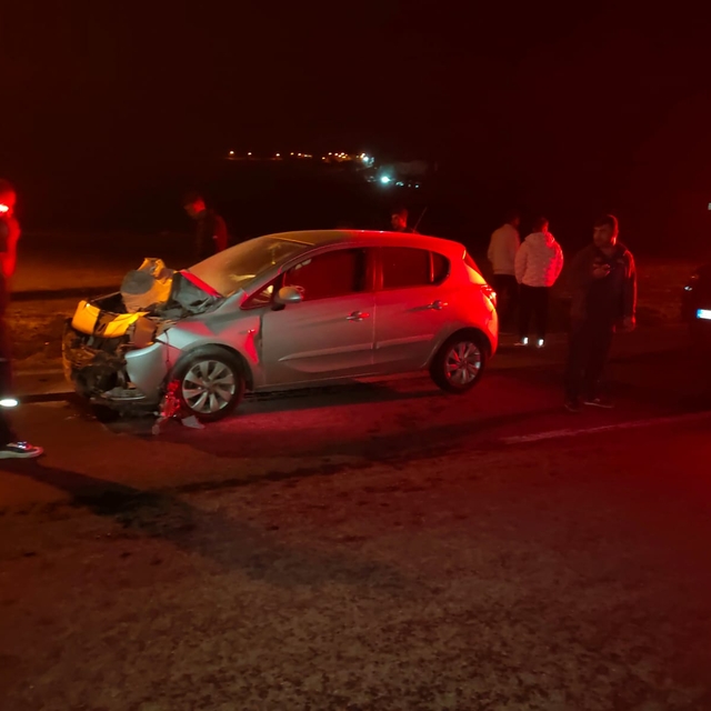 Siirt'te eşeğe çarpan otomobilin sürücüsü yaralandı