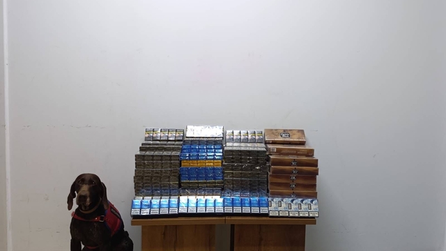 Bolu'da yolcu otobüsünde 1650 paket kaçak sigara ele geçirildi