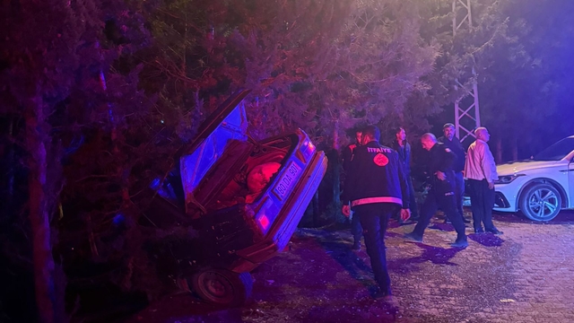 Osmaniye'de ağaca çarpan otomobildeki 3 kişi yaralandı