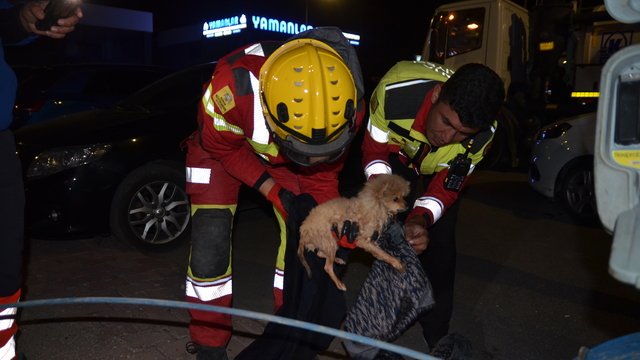 Konya'da kanalizasyon borusuna sıkışan köpek yavrusu itfaiyenin 6 saatlik çalışmasıyla kurtarıldı