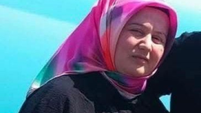 Ordu'da kamyonun çarptığı yaya, öldü