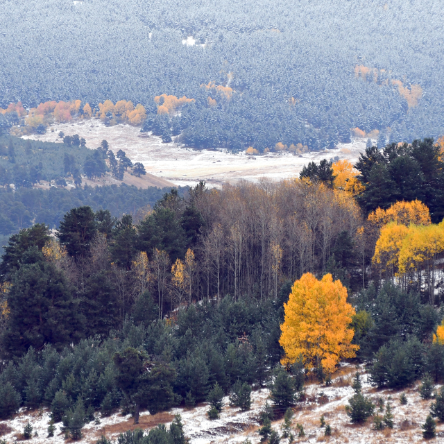 Kar ve sonbahar renklerinin bütünleştiği Sarıkamış'ta güzel manzaralar oluş...