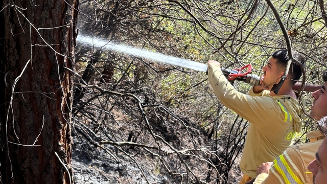 Osmaniye'de çıkan örtü yangını söndürüldü
