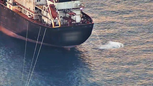 Antalya'da 'deniz çöpleri' seferberliği