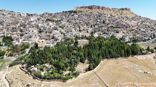Babasının diktiği 3 bini aşkın fidan için 'hatıra ormanı' talebi