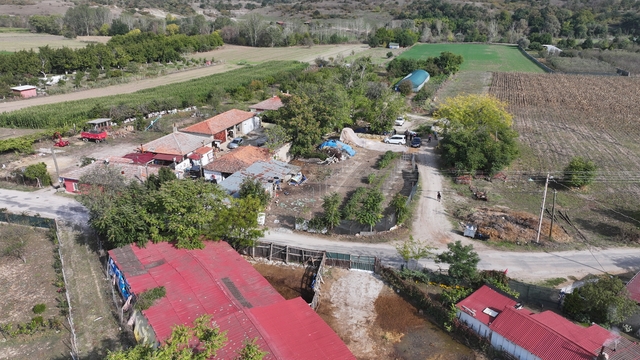 Edirneli Şirin teyze ikinci serasına kavuşuyor