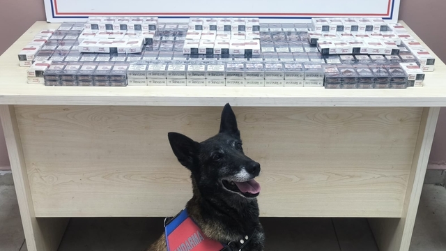 Kayseri'de 320 paket bandrolsüz kaçak sigara ele geçirildi