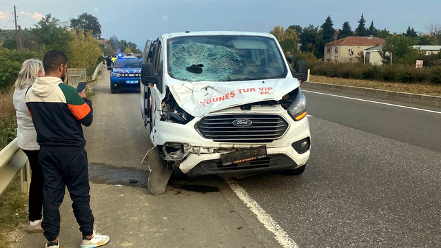 Yol kenarında yürürken minibüsün çarptığı yaya öldü