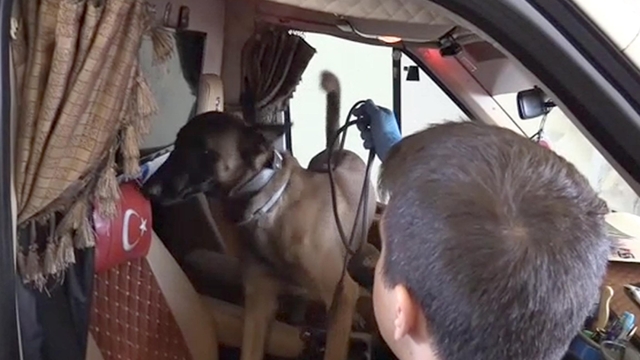 Kamyonetteki 36 kilo kokaini 'Alfa' buldu; sürücüye gözaltı