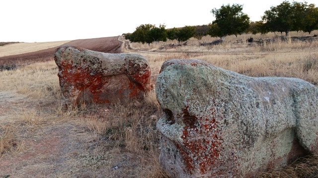 4 bin yıllık 2 Aslantaş için taşınma kararı