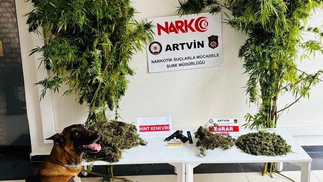 Artvin'de 1 kilo 151 gram esrar ele geçirildi