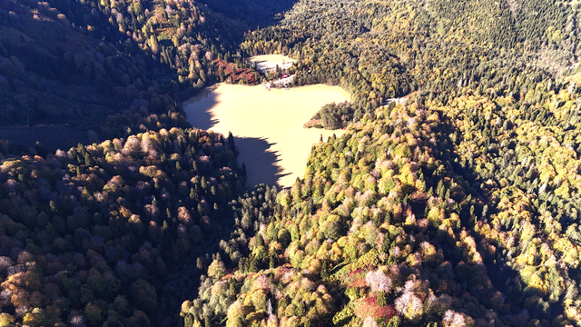 Artvin'deki Borçka Karagöl Tabiat Parkı sonbahar renklerine büründü