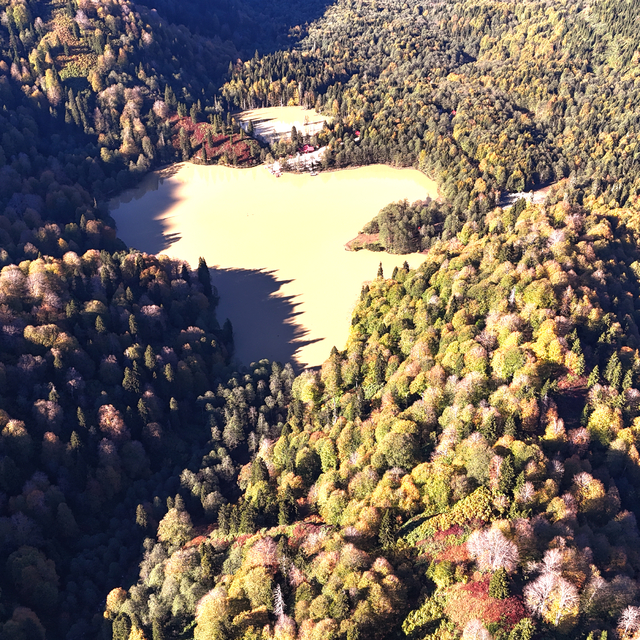 Artvin'deki Borçka Karagöl Tabiat Parkı sonbahar renklerine büründü