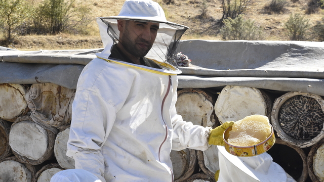 Bitlis'te kara kovan balının hasadı başladı