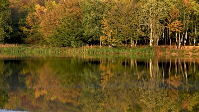 Düzce'deki Korugöl Tabiat Parkı ziyaretçilerini sonbahar manzarasıyla ağırlıyor