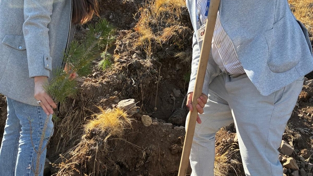 ERÜ'de artrit hastalığına dikkat çekildi