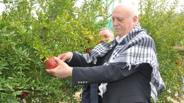 TZOB Genel Başkanı Bayraktar, İzmir'de incelemelerde bulundu