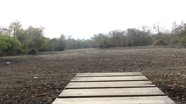 Türkiye'nin 3'üncü büyük longozu da kurudu