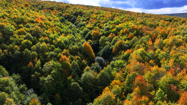 Tokat'ta sonbaharın güzelliği havadan görüntülendi
