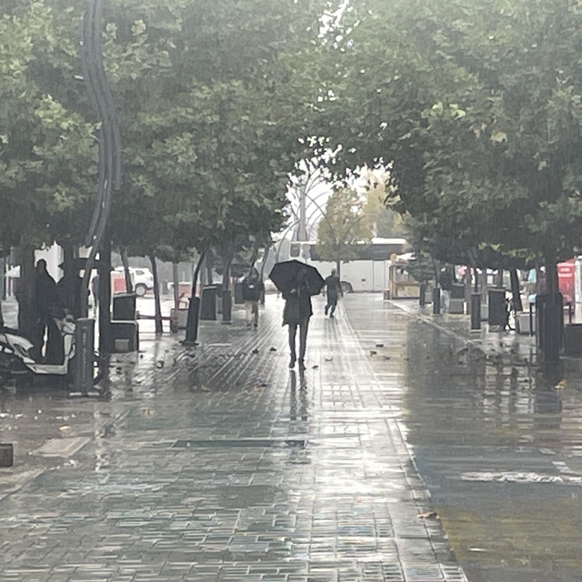 Bolu'da sağanak etkili oldu