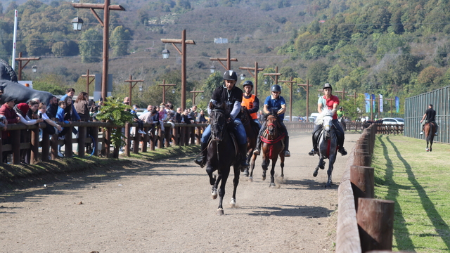 Ordu'da Cumhuriyet Kupası Rahvan At Yarışları düzenlendi