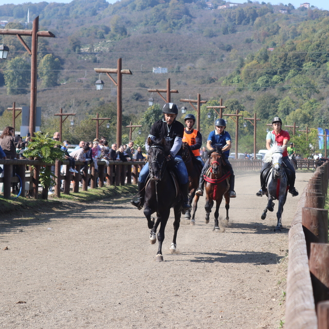 Ordu'da Cumhuriyet Kupası Rahvan At Yarışları düzenlendi