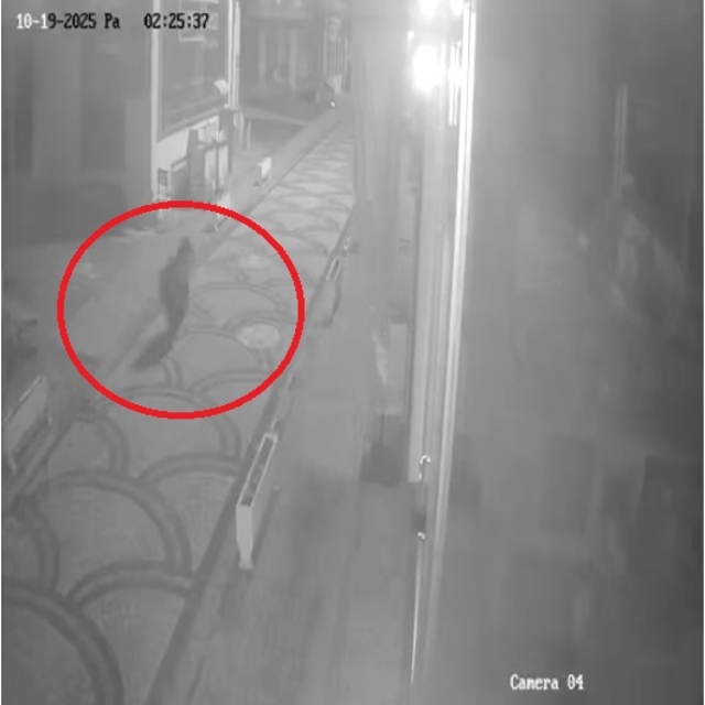 Kastamonu'da aç kalan ayı ilçe merkezine indi; o anlar kamerada