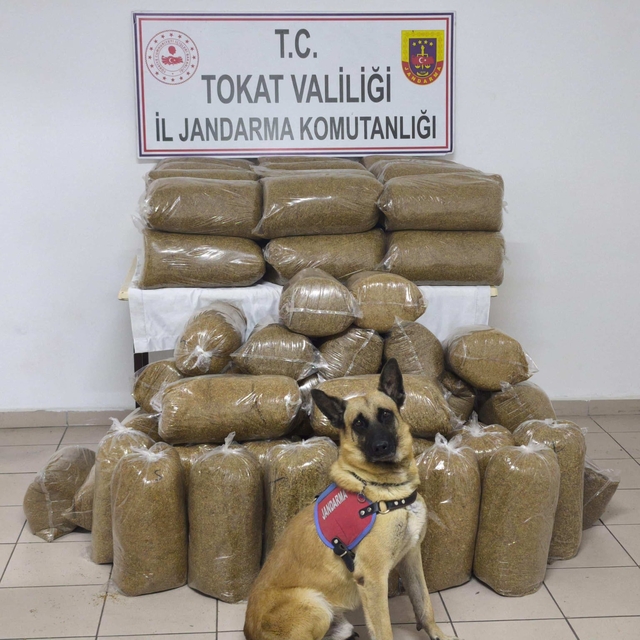 Tokat'ta 340 kilogram kaçak tütün ele geçirildi