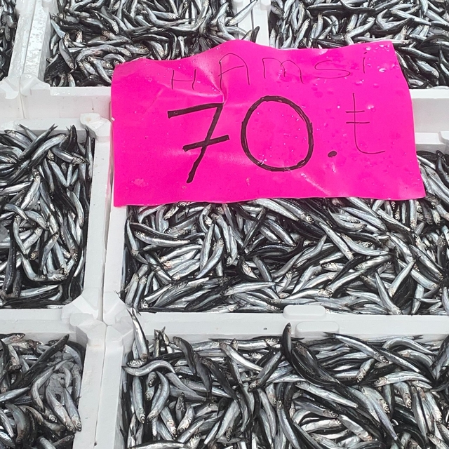 Ordu'da balık tezgahlarında hamsi bolluğu yaşanıyor