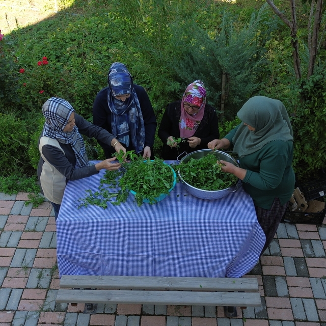 Bilecikli kadın girişimcinin bahçesindeki nanelerden yaptığı pekmez nefesle...