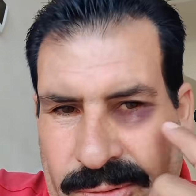 Rojin Kabaiş'e hakaretten tutuklandı