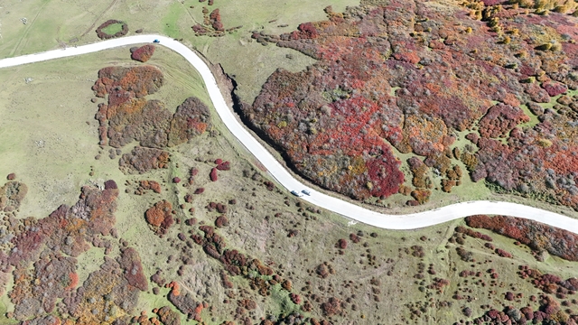 Ordu'da sonbaharın renkleri havadan görüntülendi