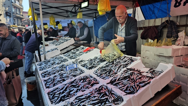 Zonguldak'ta hamsinin kilosu 70 liraya düştü