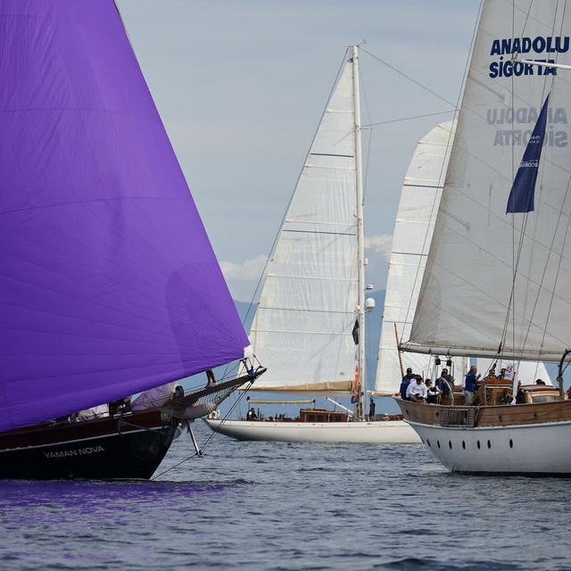Maximiles Black The Bodrum Cup Yelken Yarışları, Bodrum açıklarında başladı