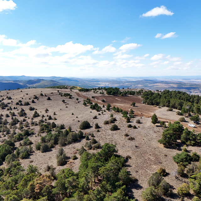 Akdağmadeni'nde "Ak Çam Konaklamalı Orman Parkı" projesinde çalışmalar başl...