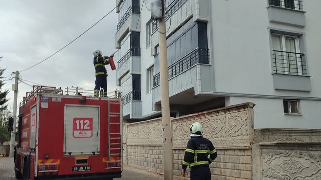 Siirt'te elektrik direğinde çıkan yangın söndürüldü