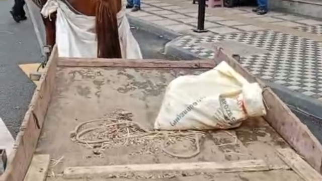 Yaya geçidine park edilen at arabasının sahibine 993 lira ceza