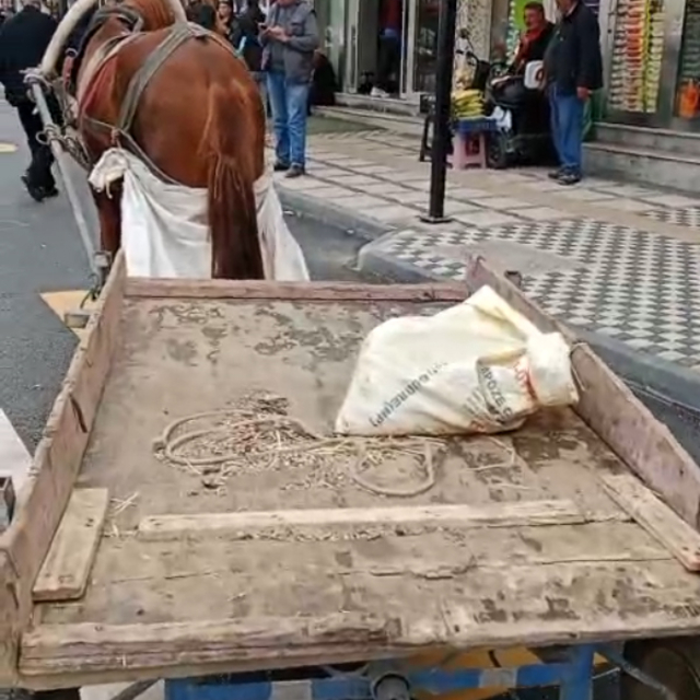 Yaya geçidine park edilen at arabasının sahibine 993 lira ceza