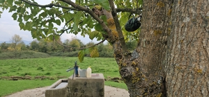 Kuyuda cesedi bulunan Hasret'in cinayet şüphelisi, 5 kişinin katili çıktı (...