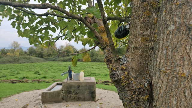 Kuyuda cesedi bulunan Hasret'in cinayet şüphelisi, 5 kişinin katili çıktı (3)