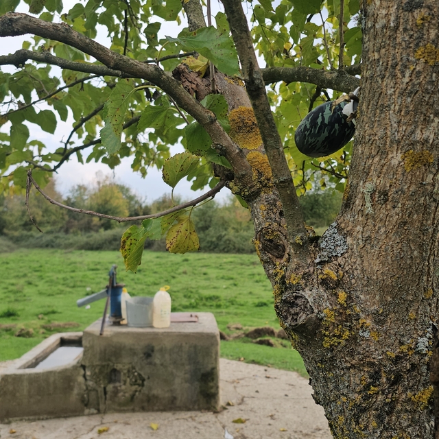 Kuyuda cesedi bulunan Hasret'in cinayet şüphelisi, 5 kişinin katili çıktı (...